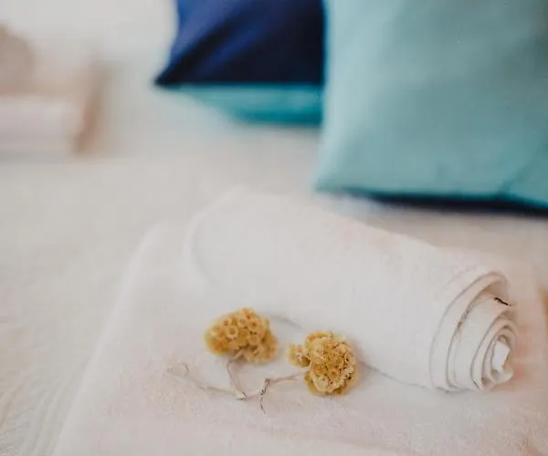 Apartmant Tonka * שיבניק